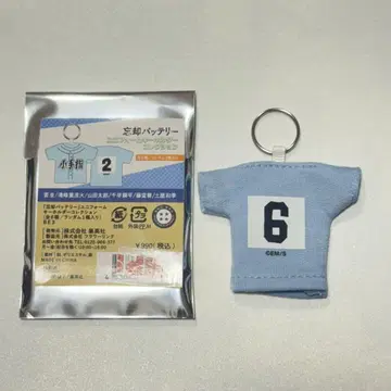 망각 배터리 토도 아오이 유니폼 키링 컬렉션