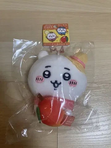 지역 한정 치이카와 키체인 미야자키현