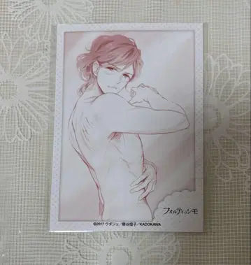 브라더스 컨플릭트 브라콘 포르티시모 아사히나 후토