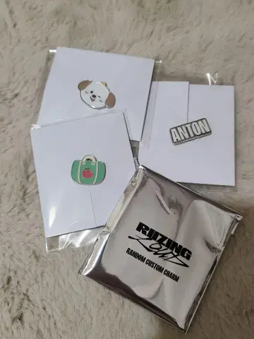 RIIZE 앤톤 커스텀 참