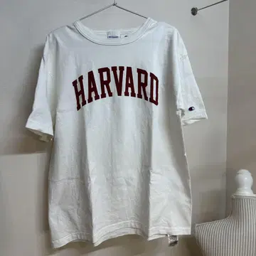 Champion HARVARD 티셔츠 L 사이즈 미국 제