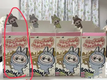 정품 labubu exciting macaromns 라부부 마카롱