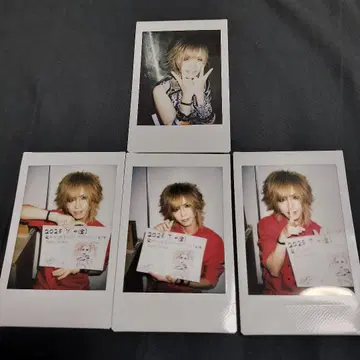 Royz 토모야 폴라로이드