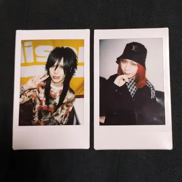 Royz 쿠이나 코다 폴라로이드 사진