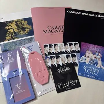 SEVENTEEN CaratMagazine