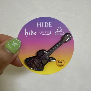 hide 기타 핀즈