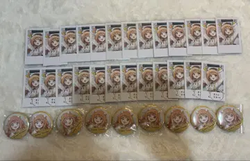 니지산지 Speciale 키라라 타마코 데뷔 폴라로이드 캔뱃지