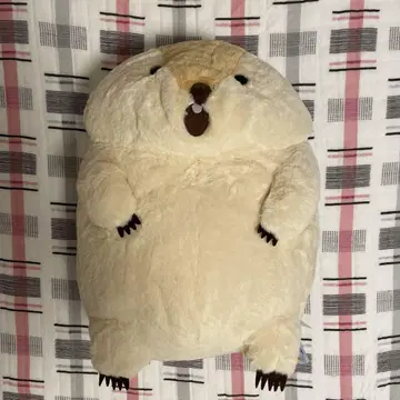 마모트의 뫗뫗 모어 울트라 BIG 외치는 뫗뫗
