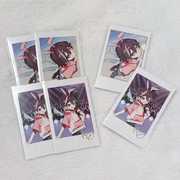 crazy raccoon CR CRfes 폴라로이드 또삐