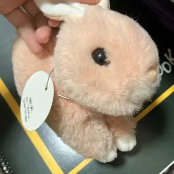 토끼 봉제 인형