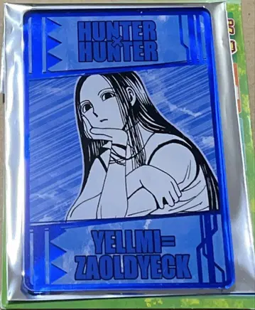 HUNTER x HUNTER 염능력 카드 컬렉션 이르미
