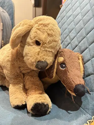 IKEA 강아지 봉제 인형 골든 닥스