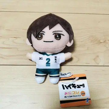 하이큐 후타쿠치 켄지 미니 컬렉션 봉제인형 마스코트