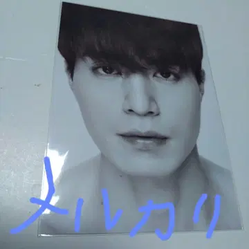 사진 이 동욱