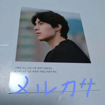 사진 이동욱