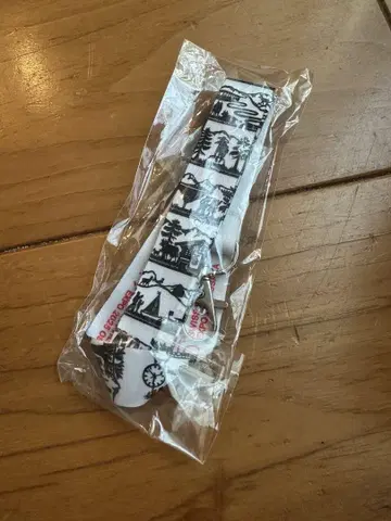 간사이 엑스포 회장 한정 스위스 파빌리온 한정 넥스트랩