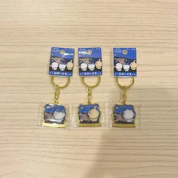 치이카와 하치와레 토끼 홋카이도 하코다테 야경 한정 홋카이도 한정