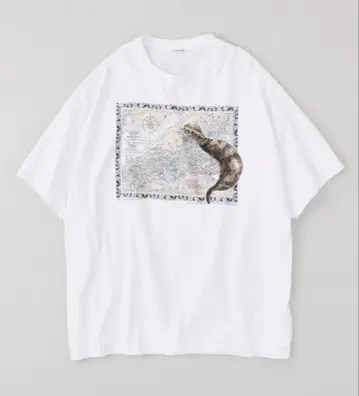 NICENESS 25AW U.BERNARD / Tsuchinoko