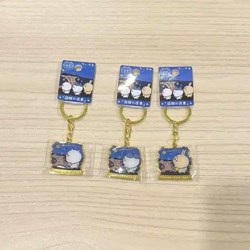 치이카와 하치와레 토끼 홋카이도 하코다테 야경 한정 홋카이도 한정