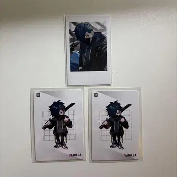Crazy raccoon CR 셀피 카드 vanilla