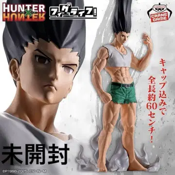 HUNTER x HUNTER 피그라이프 곤 곤 씨 피규어 프라이즈