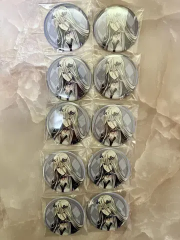 FGO 새틀라이트 스테이션 불가역 폐기공 이드 캔뱃지 아마데우스