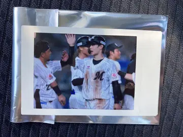 지바 롯데 마린스 후지와라 쿄타