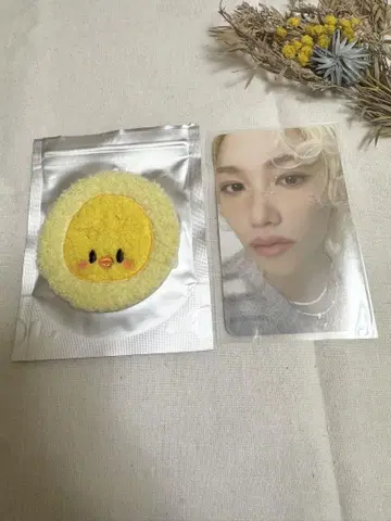 Stray Kids 스키즈 캔뱃지 폭아리 필릭스 트레이딩 카드