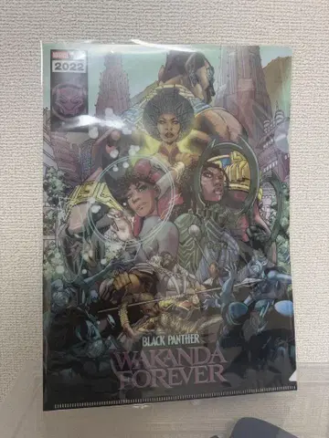 MARVEL 클리어 파일 세트