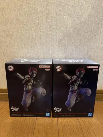 BANDAI VIBRATION STARS LIMITED 아카자