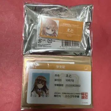 새상품 컬러풀피치 카라피치 파라다이스 에토 세트 묶음 판매