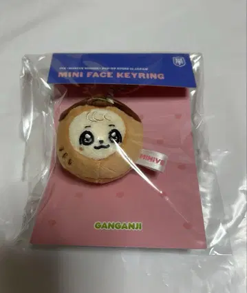 Ive MINIVE 유진 강아지 미니 페이스 키링 타코야키 도쿄