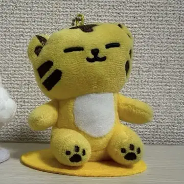 miniteen 호시 우지 탐탐 뵤뿌리
