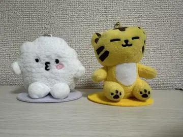 miniteen 호시 우지 탐탐 뵤뿌리