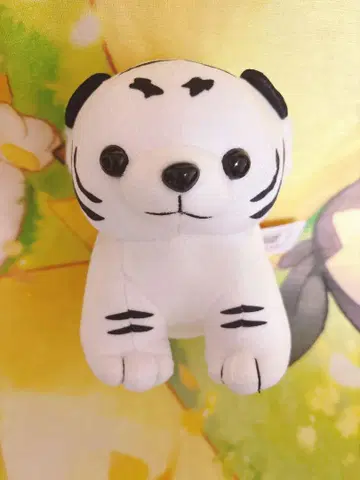 도부 동물공원 화이트 타이거