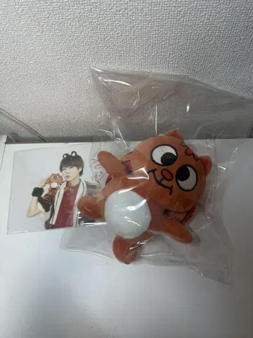 팬더드래곤 똘망똘망 봉제 인형