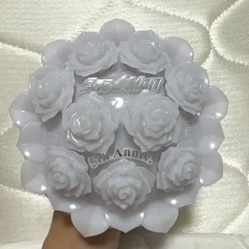 snowworld 응원봉