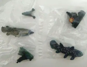 생물대도감 미니 컬렉션 고대어 2종 세트 반다이