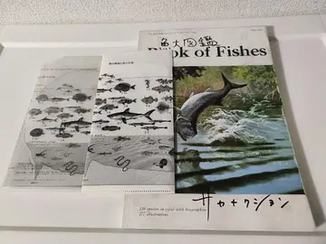 어류 도감 (3CD+어류 대도감) (완전 생산 한정판 프리미엄 BOX)