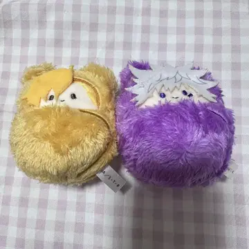 리본 싸개 타피누이 백란 디노