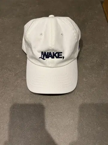wake sapporo 캡