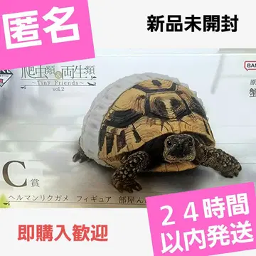 제일복권 파충류&양서류 C상 헤르만 육지거북 피규어 방 안 산책 ver.