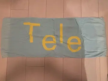Tele 타월 스카이블루 2023