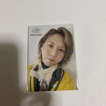 피요르드 후지사와 료카 포토 카드 레어 40 040
