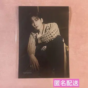 SEVENTEEN 혼자가 아니야 원우 플라이어