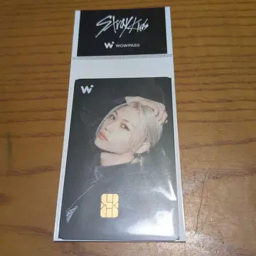 Stray Kids 스키즈 WOWPASS 와오패스 필릭스 필리