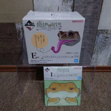 제일복권 파충류&양서류 E상 렙타일즈 헤드 마그넷 미야코히키가엘