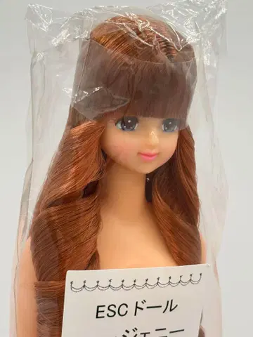 오타노시미 인형 new 제니 리카짱 캐슬 리틀 팩토리
