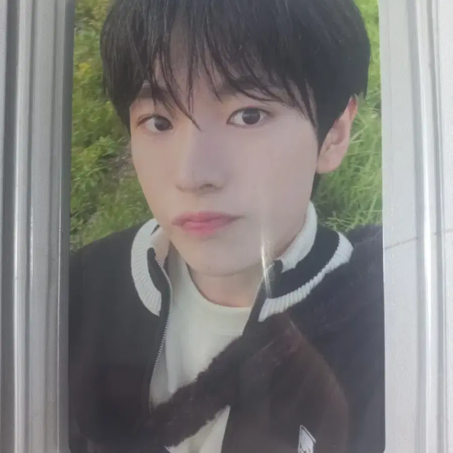 nct wish ユウシ steady 中華 一直娱 yizhiyu 予約特典 nct wish シオン steady 中華 一直娱 yizhiyu 予約特典 NCT WISH