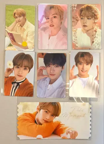 StrayKids 리노 트레이딩 카드 nacific 나시픽